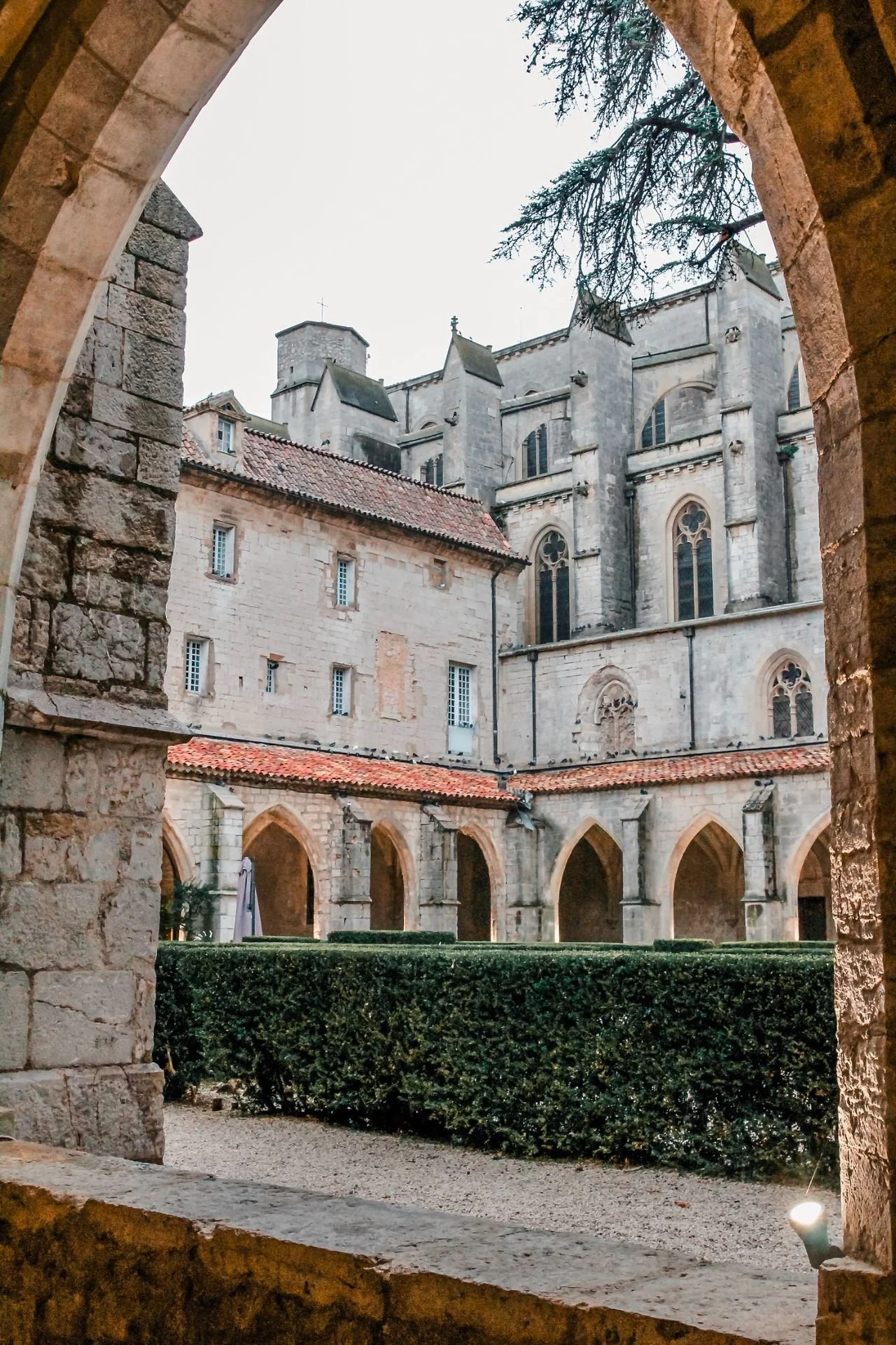 Provence: Come for the Wine, Stay for an Experience of a Lifetime