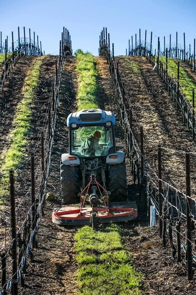 How One “Boss Lady” and Her Team is Changing the Way Sonoma County Grows Grapes