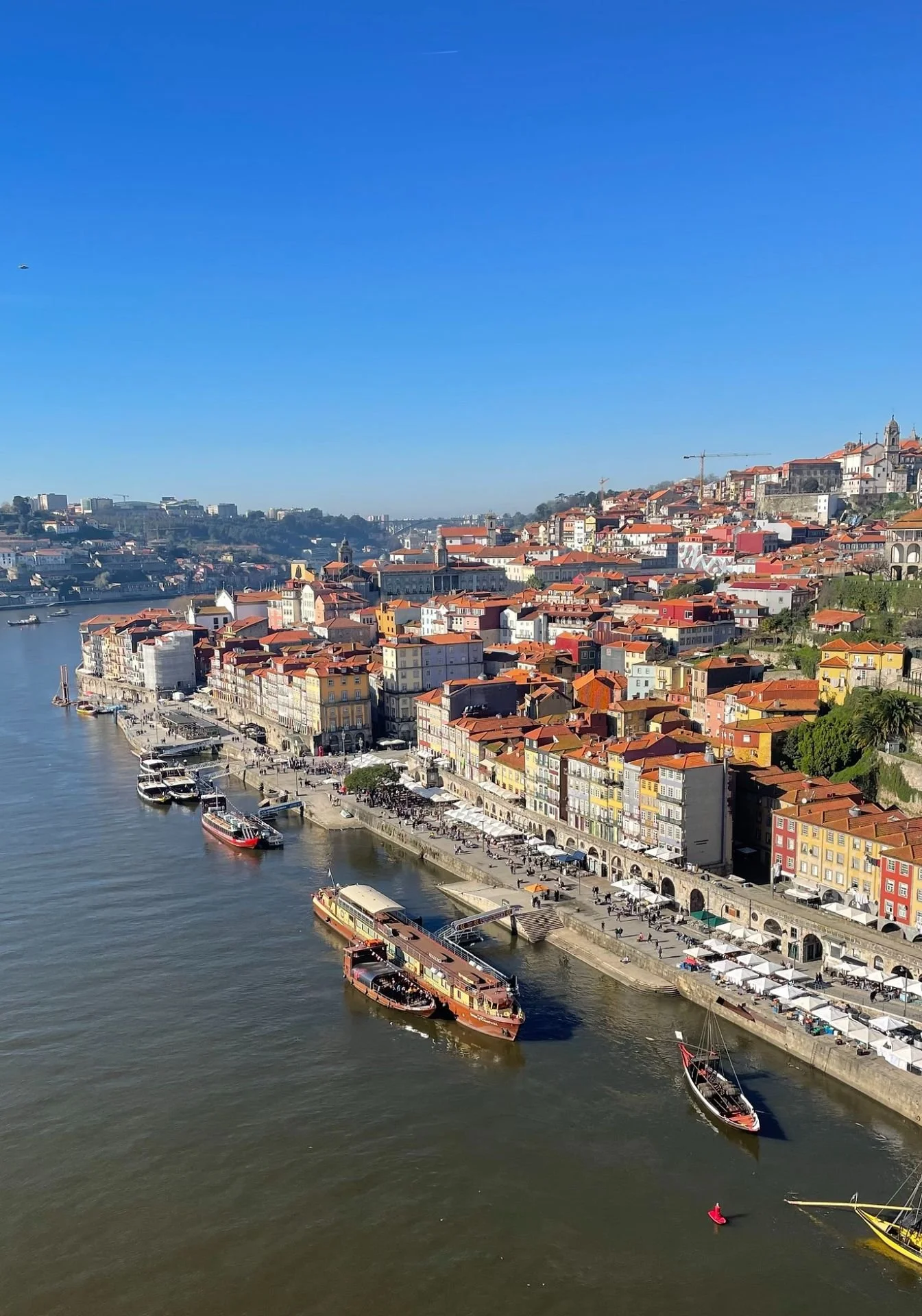 Where to Eat & Drink in Porto, Portugal