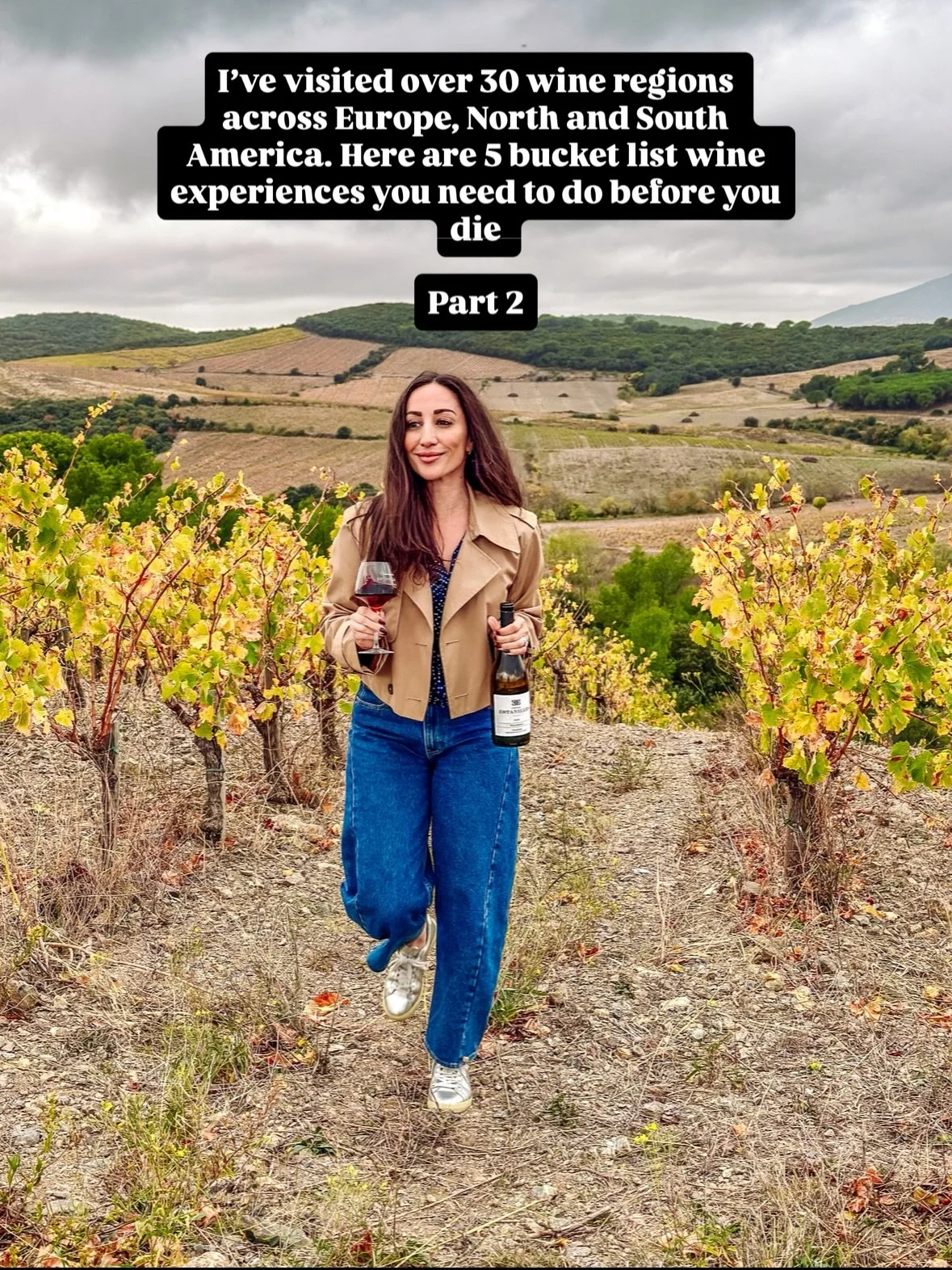 You asked for it! Part ✌🏼

1. Mt. Etna vineyard walk (📸: @donnafugatawine)
2. Sip some Touraine-Chenonceaux at @chateau_chenonceau 
3. Check out the 100-year-old Garnacha bush vines in Navarra (📸: @vinazorzal.wines)
4. Sip Brunello overlooking the