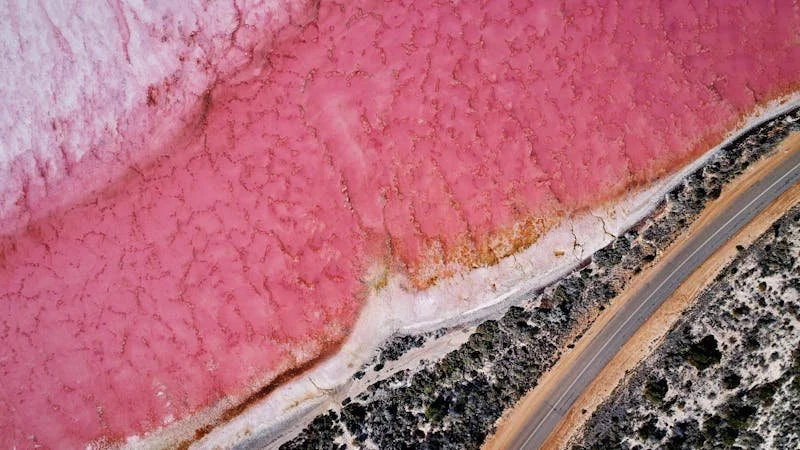 Hutt Lagoon (Pink Lake)
