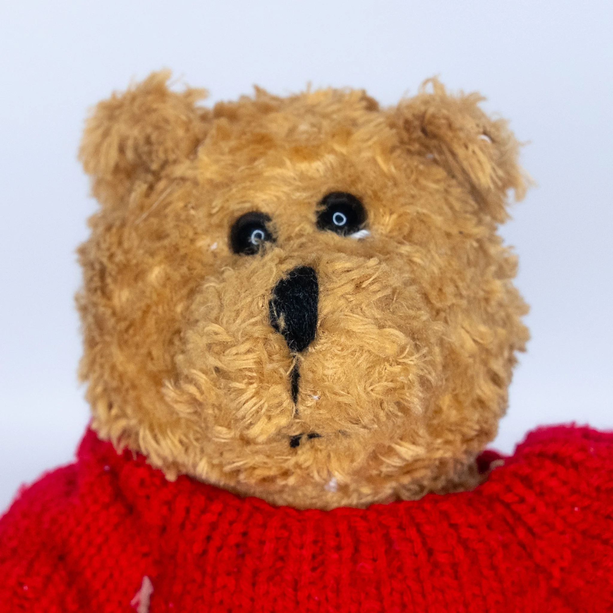 close-up of scruffy straw-coloured teddy bear with funny little black eyes. Líonel from Toys Arís, an Irish sustainable toy company.
