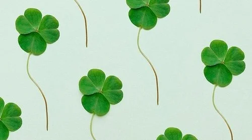 10 Senior Community Activity Ideas: St. Patrick's Day Edition