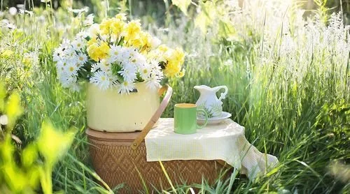 10 Senior Community Activity Ideas: June Edition