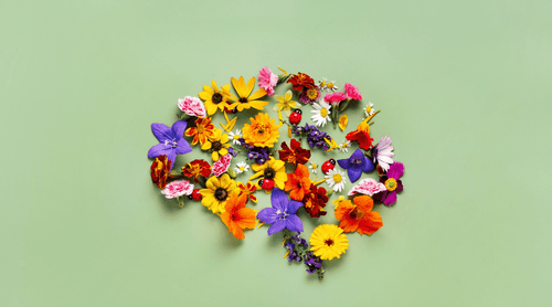 Creating a Brain-Healthy Community: A Roadmap for Life Enrichment Teams