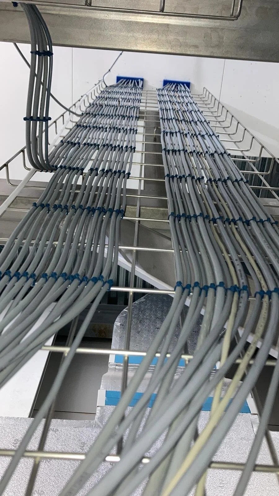 WhatsApp Image 2025-06-03 at 12.22.15.jpg