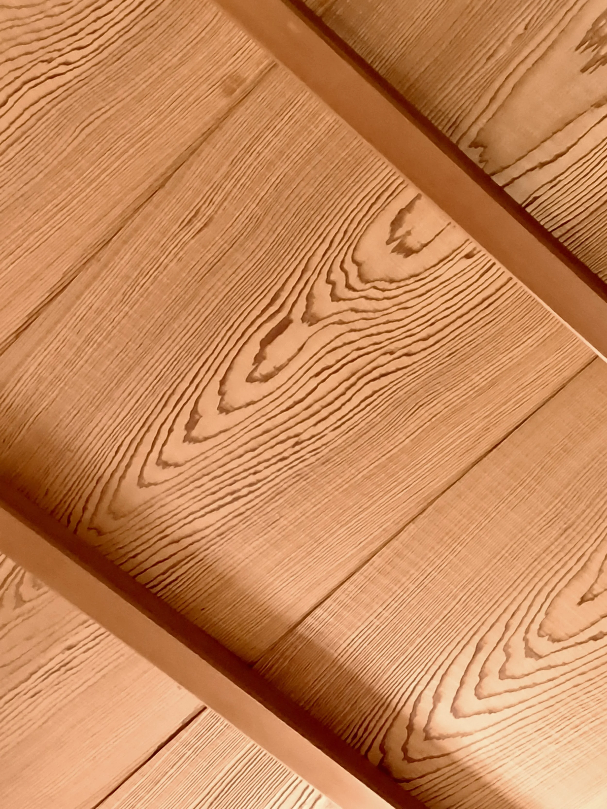 Ceiling larch.jpg