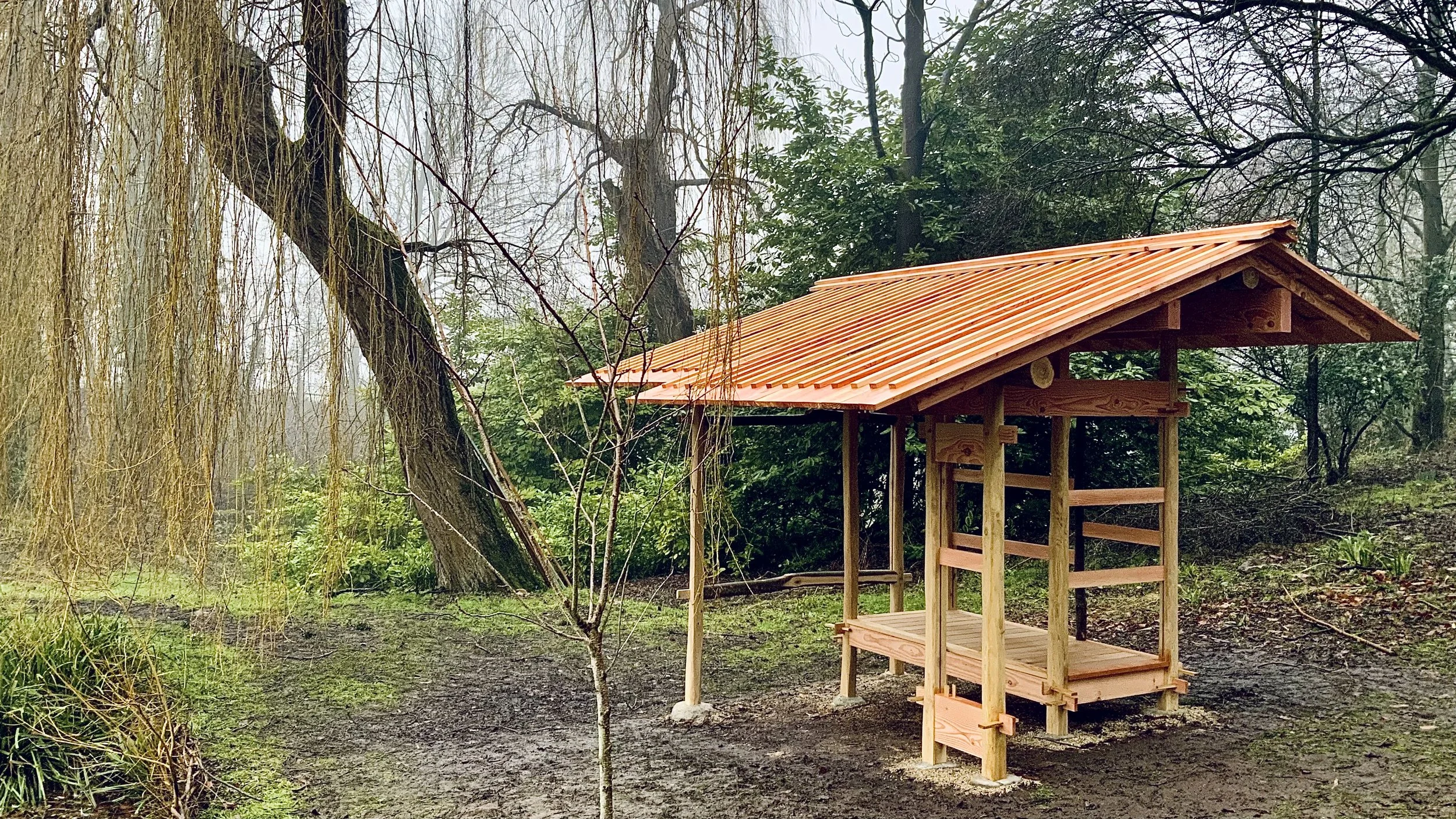 PLANK ROOF AZUMAYA.jpeg