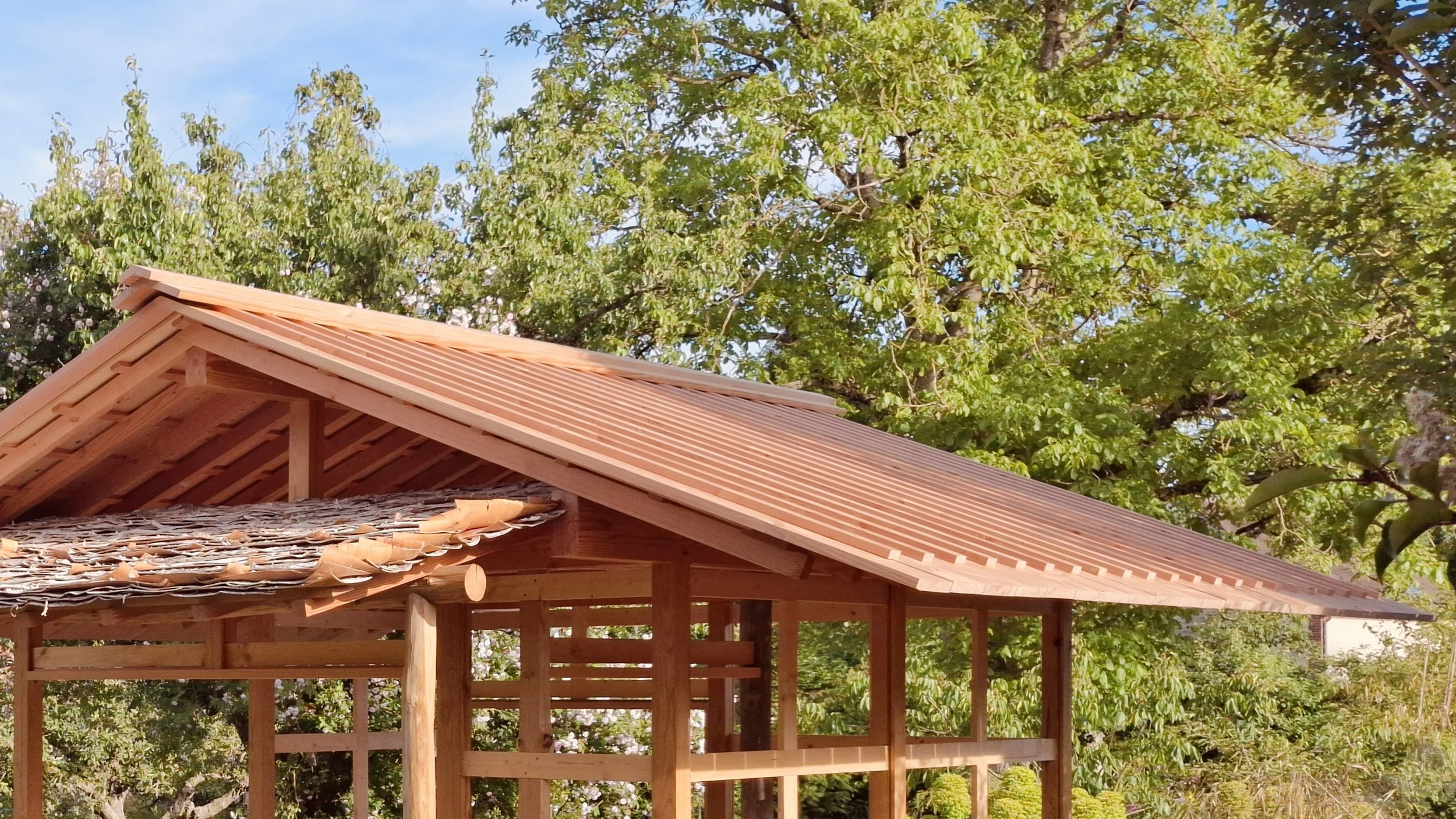 PLANK ROOF THB.jpg