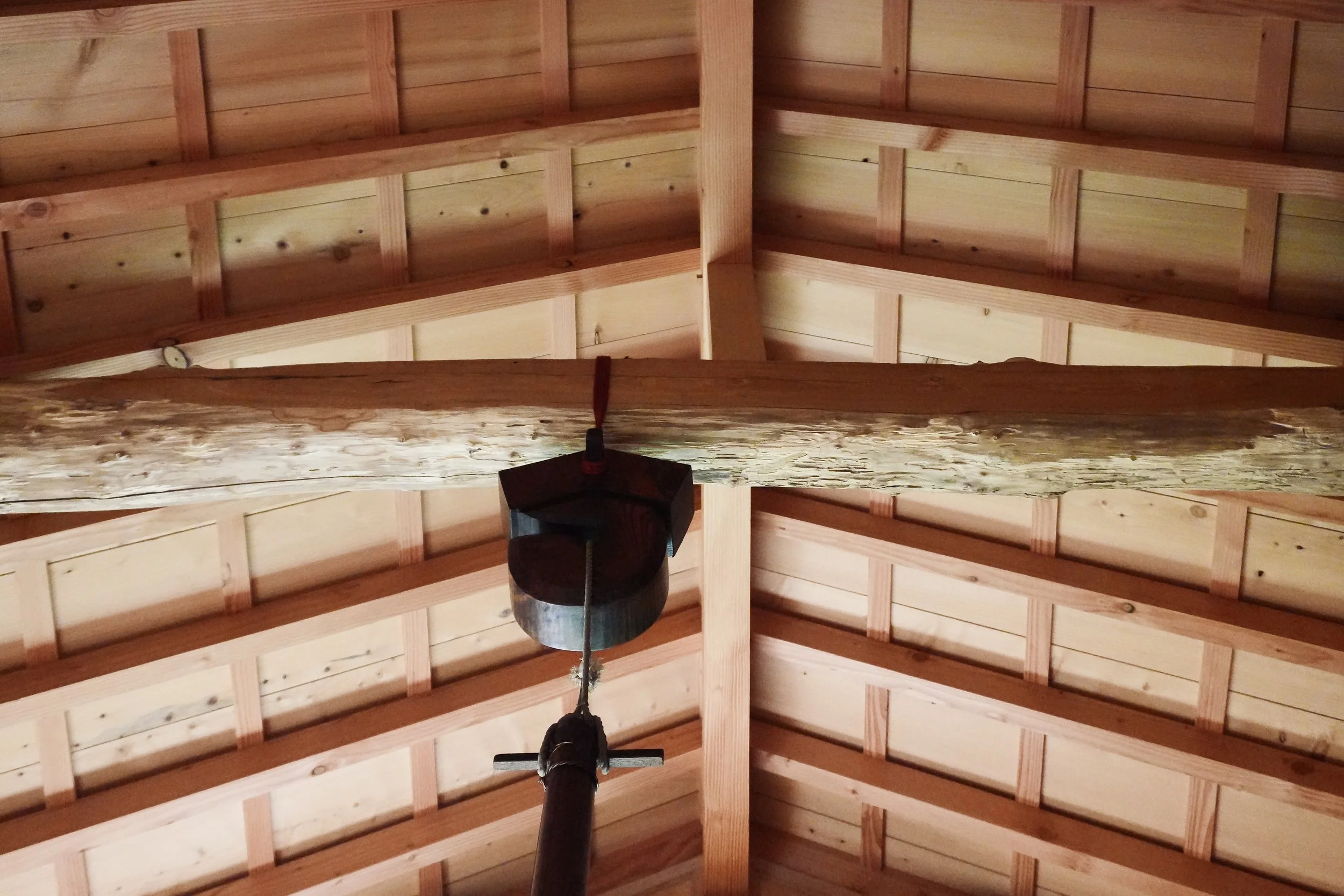 Ceiling cypress .JPG