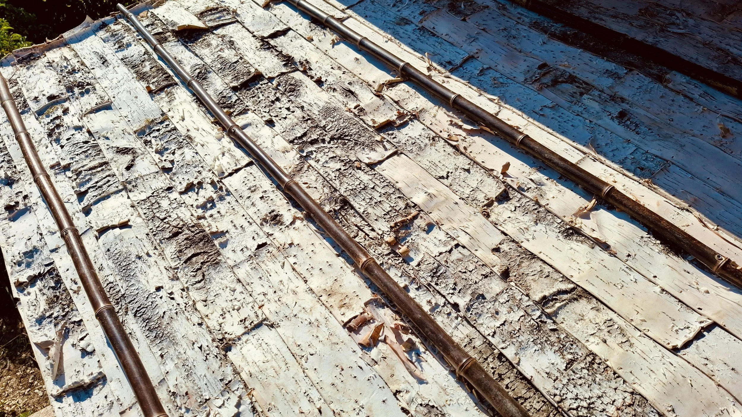 BIRCH + BAMBOO ROOF.jpg