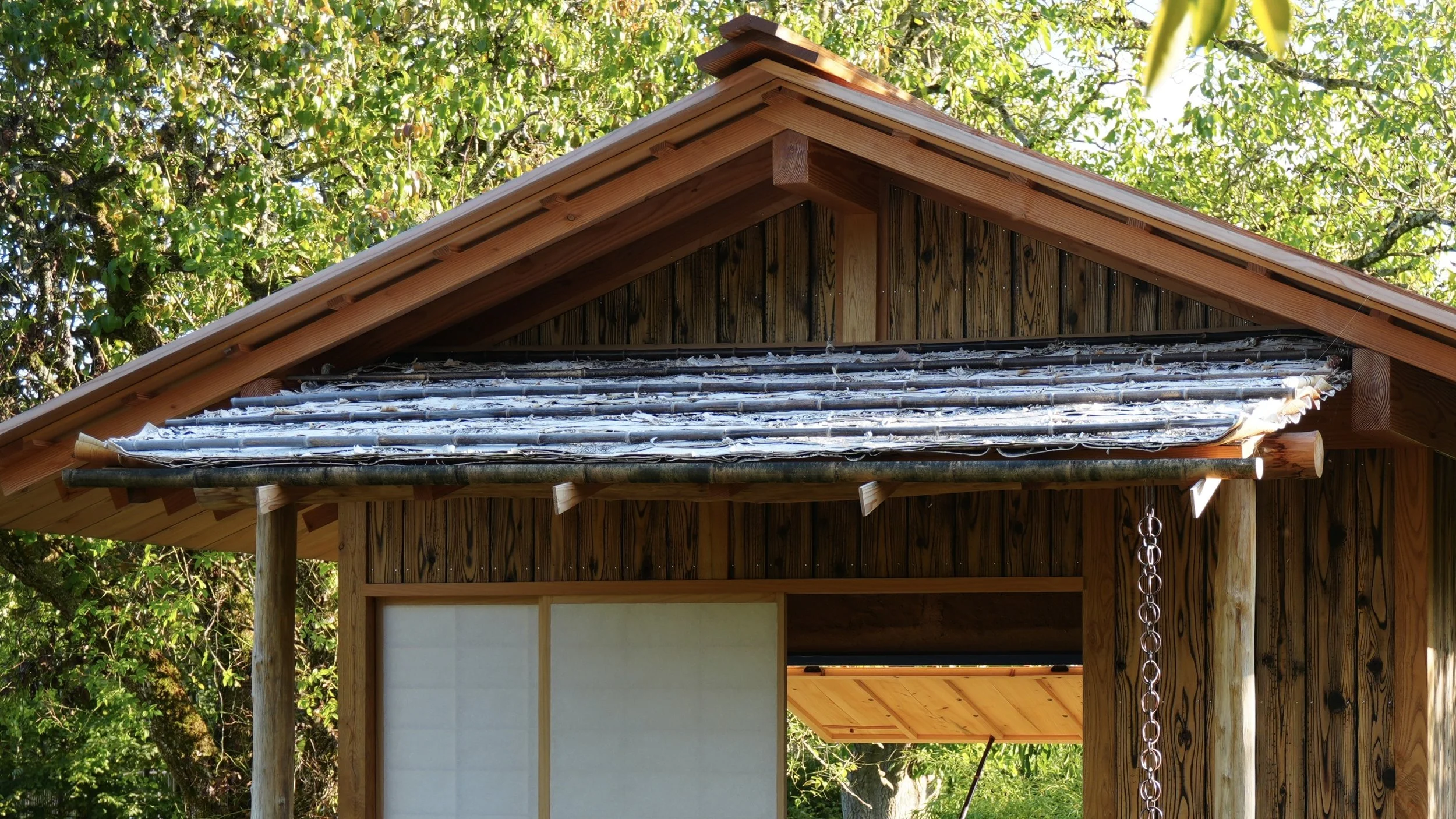 BIRCH ROOF 2.JPG