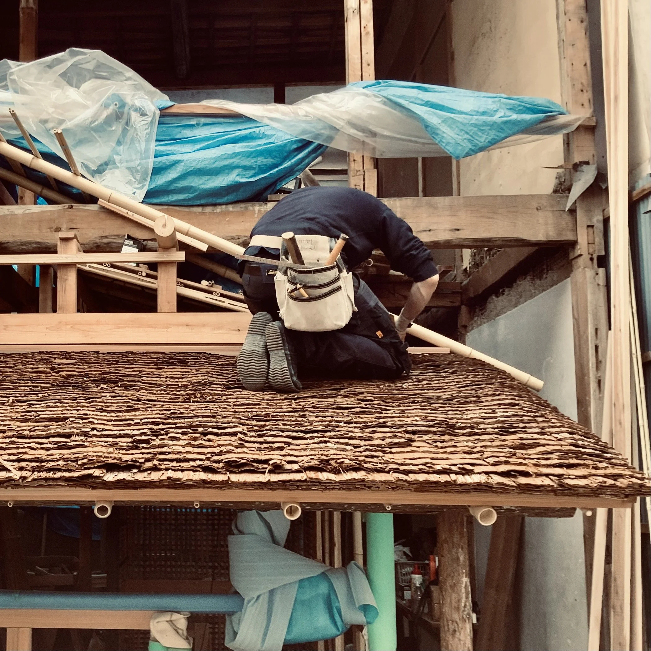 CEDAR BARK SITE 2.jpeg