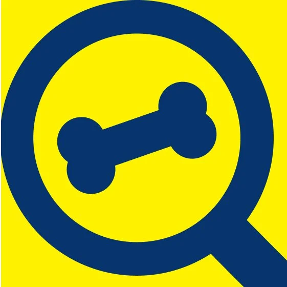 A yellow background with a dark blue magnifying glass icon, inside which is a bone shape.