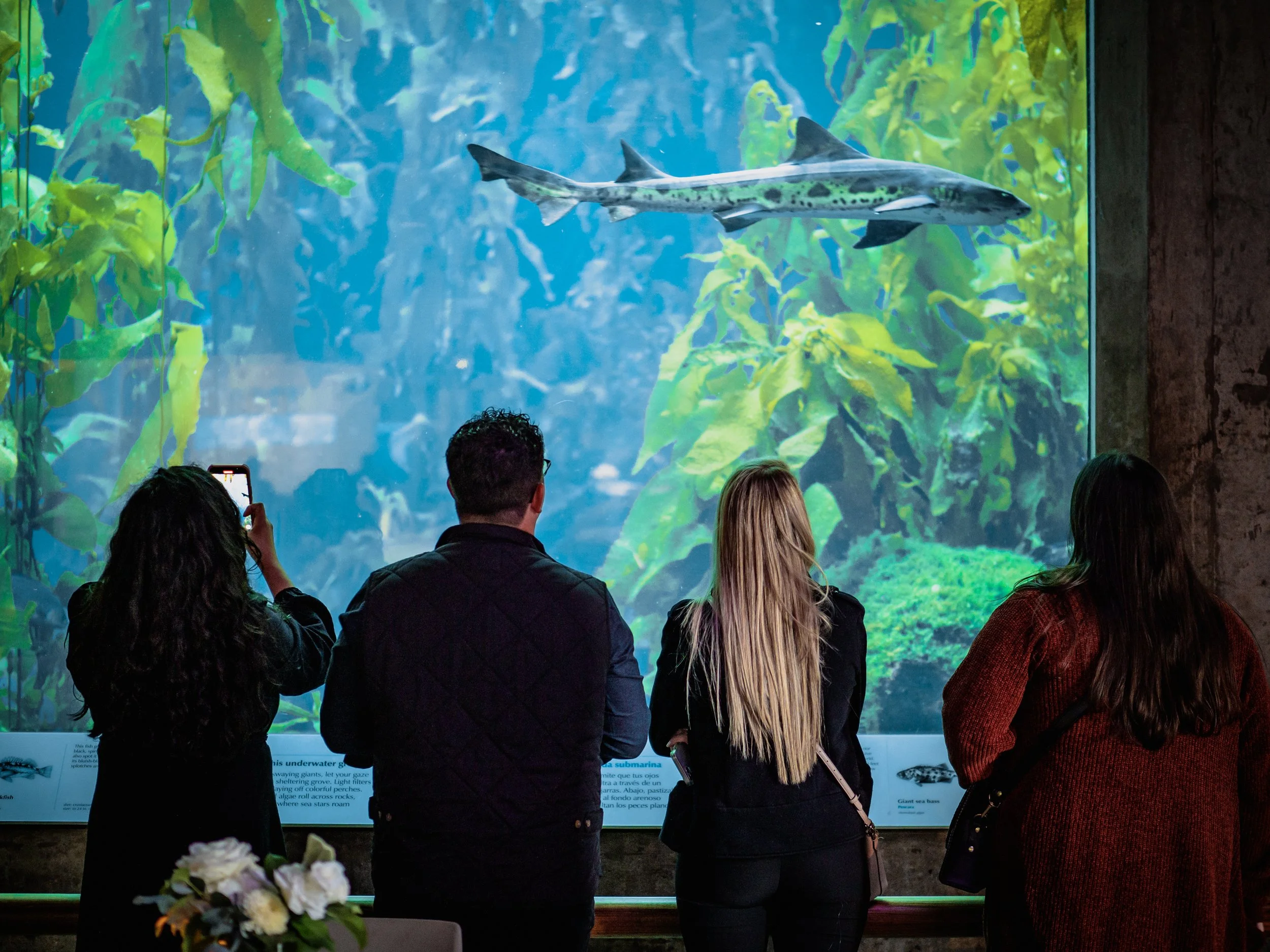 Asilomar-2023-Aquarium-Reception-0001.jpg