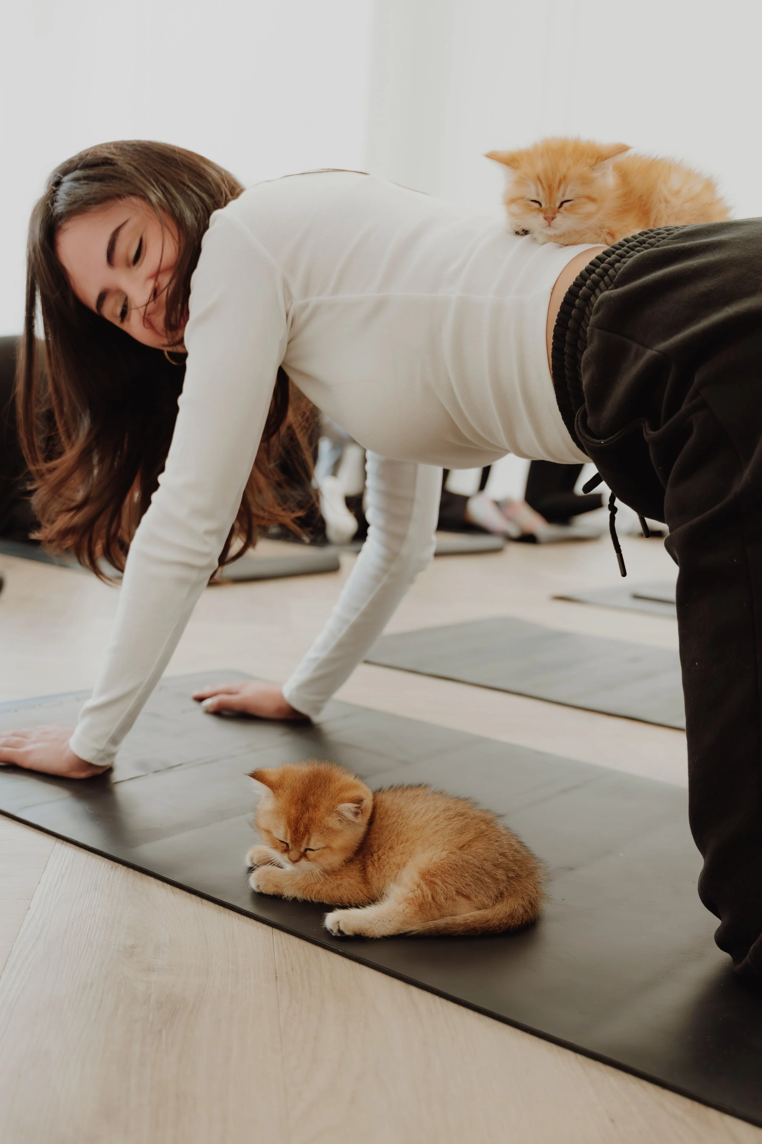 A woman in a white shirt and black pants doing yoga on a mat, with a ginger kitten sleeping beside her and another ginger kitten resting on her back.