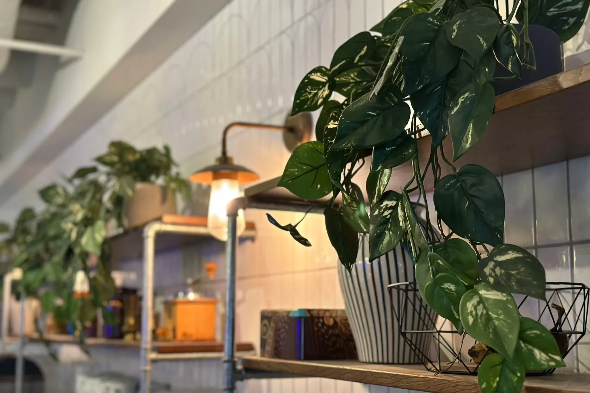 Wooden shelves with plants and a vase, separated by a built-in light against white tiled walls.