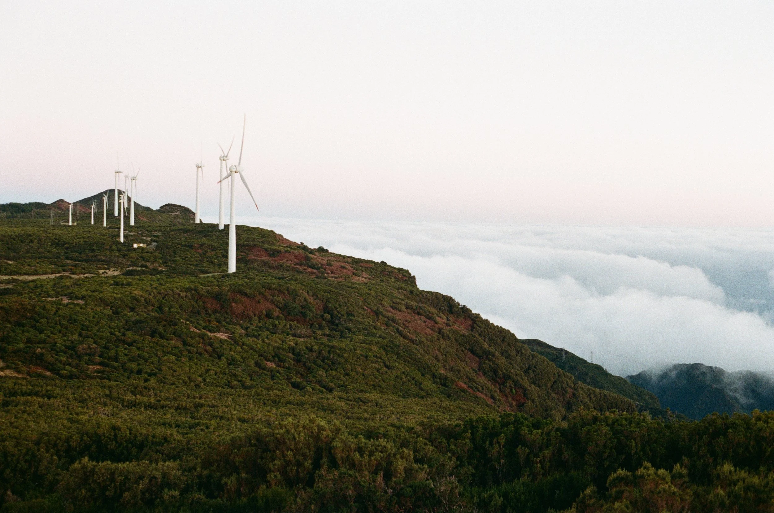 Wind turbines on a green mountain ridge above a layer of clouds, creating a calm and expansive landscape.