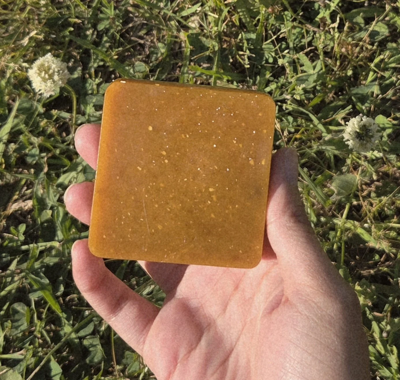 Citrus Delight No. 01 - Bar Soap