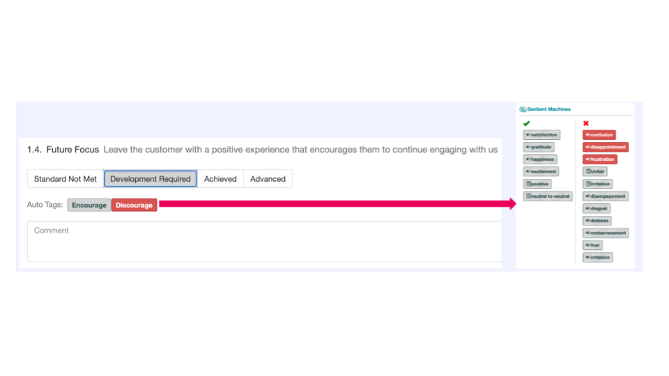 Screenshot of a customer feedback or review interface with tabs labeled Standard Not Met, Development Required, Achieved, and Advanced. A section titled 1.4 Future Focus encourages leaving the customer with a positive experience. Auto tags include Encourage and Discourage, with a pink arrow pointing to a list of emotional words on the right side, such as disappointment, frustration, unfair, and disengagement.