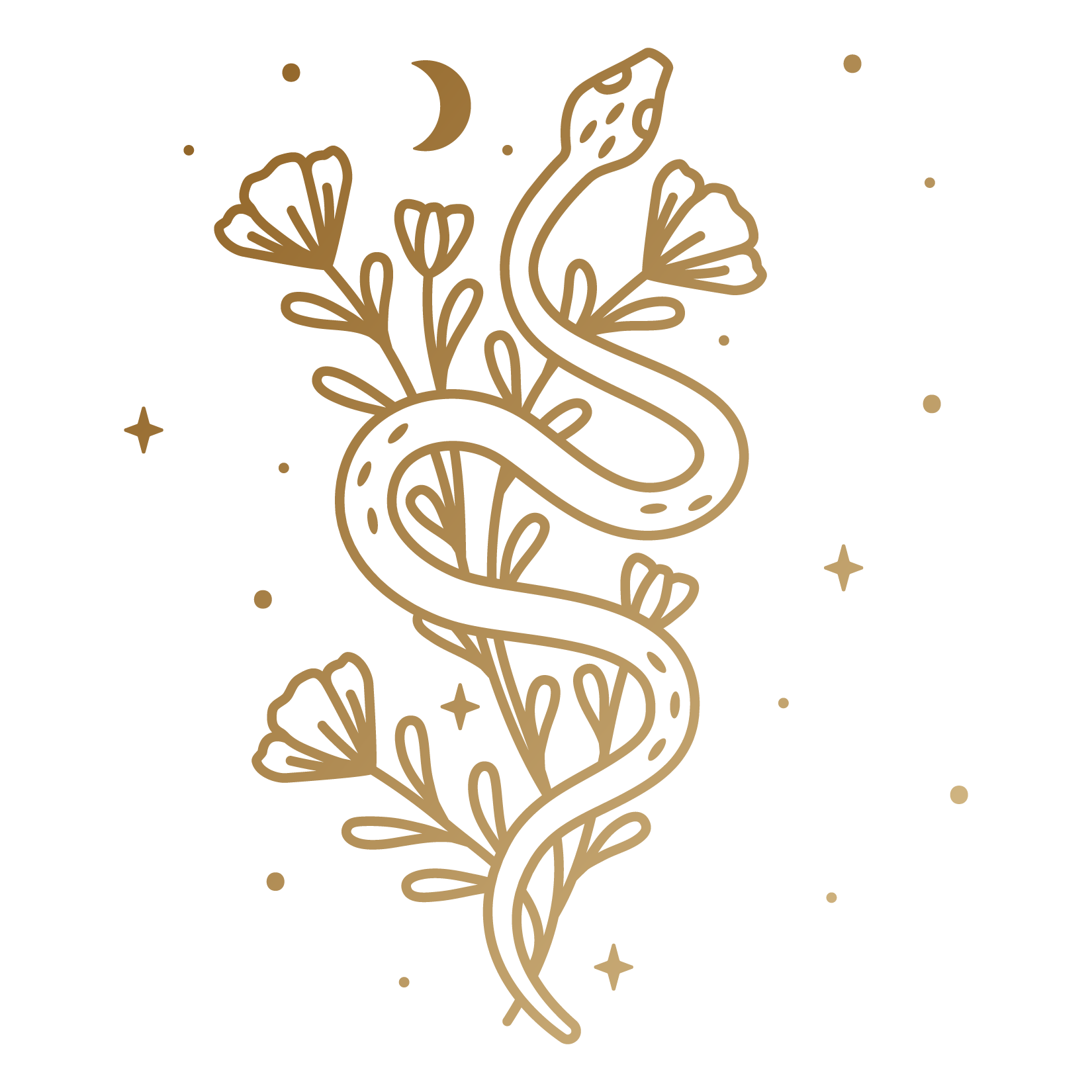 Diagram of a human skull displaying the various bones including the frontal, parietal, occipital, temporal, nasal, and maxilla bones.