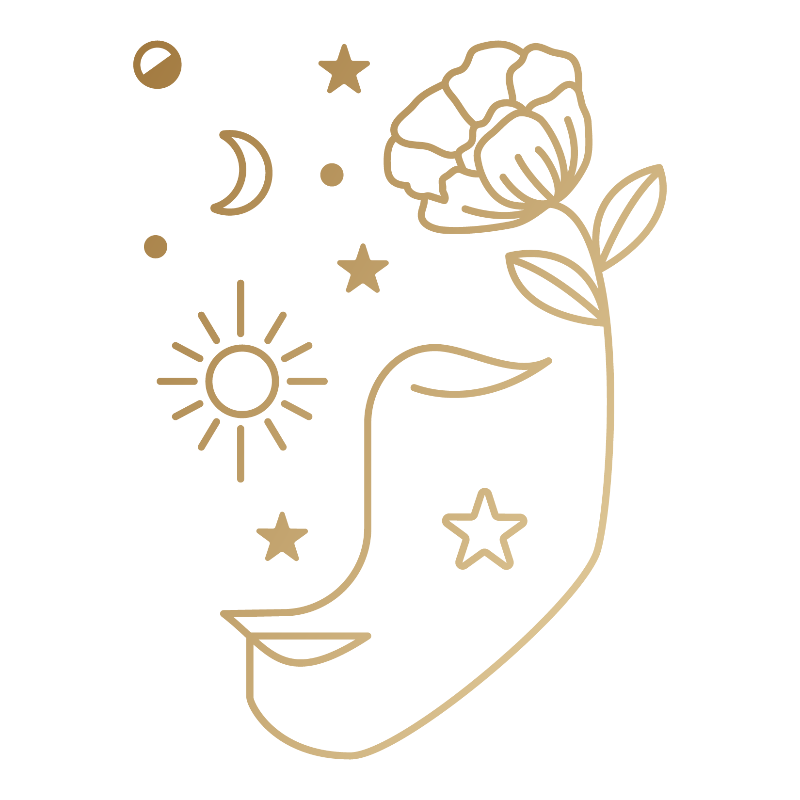 Diagram showing the structure of a human hand with labeled parts.