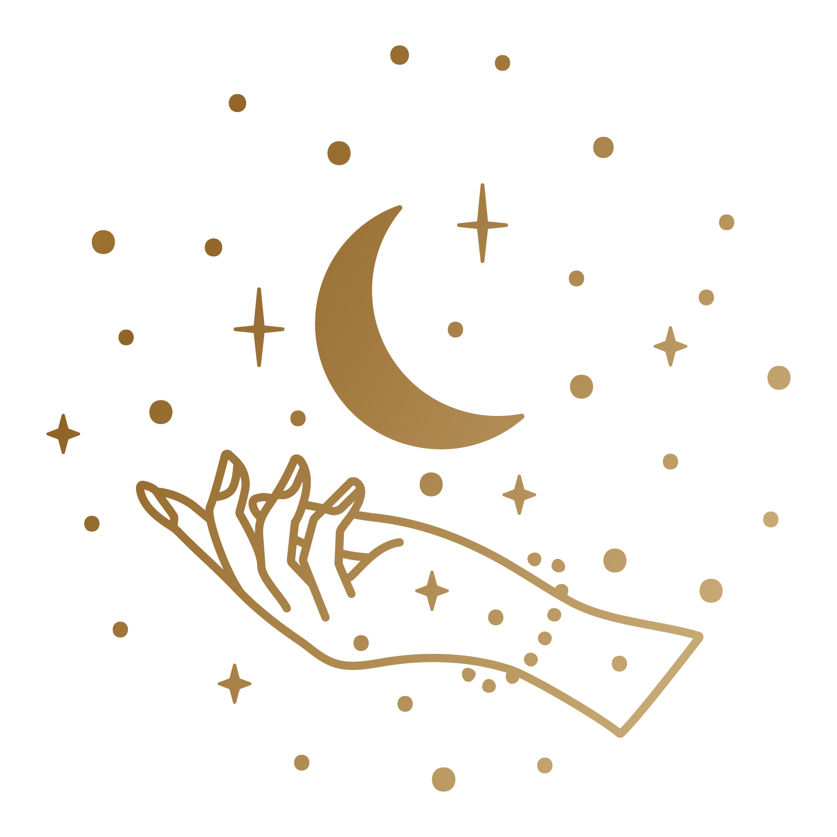 Diagram of a coffee bean with labels indicating parts and processing steps.