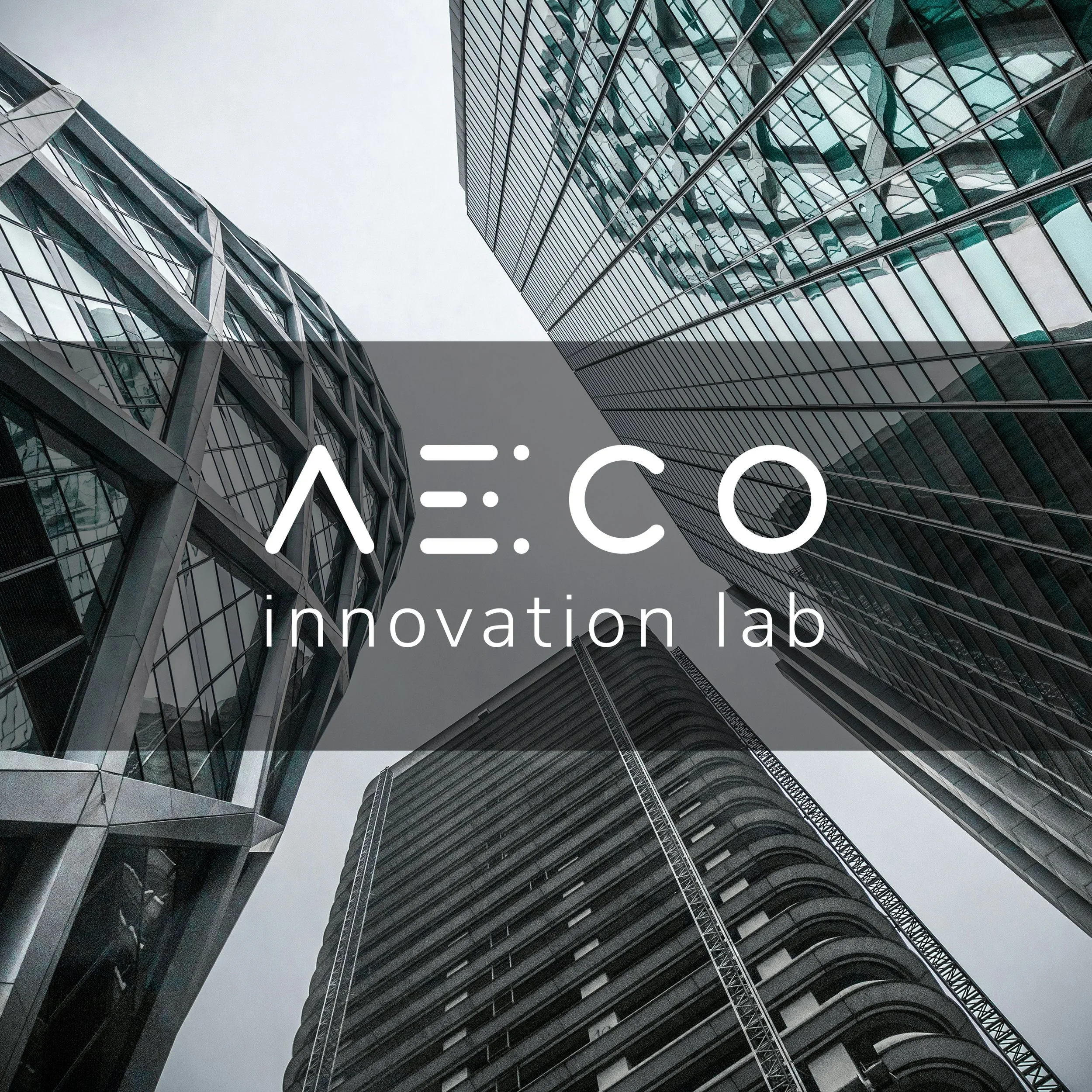 AECO-square copy.jpg