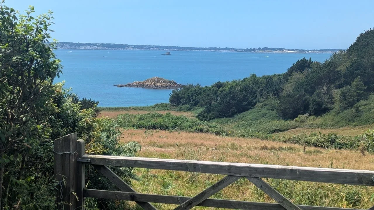 Scenic view of a coastal landscape with a wooden fence in the foreground, green fields, trees, and a calm body of water under a clear blue sky.