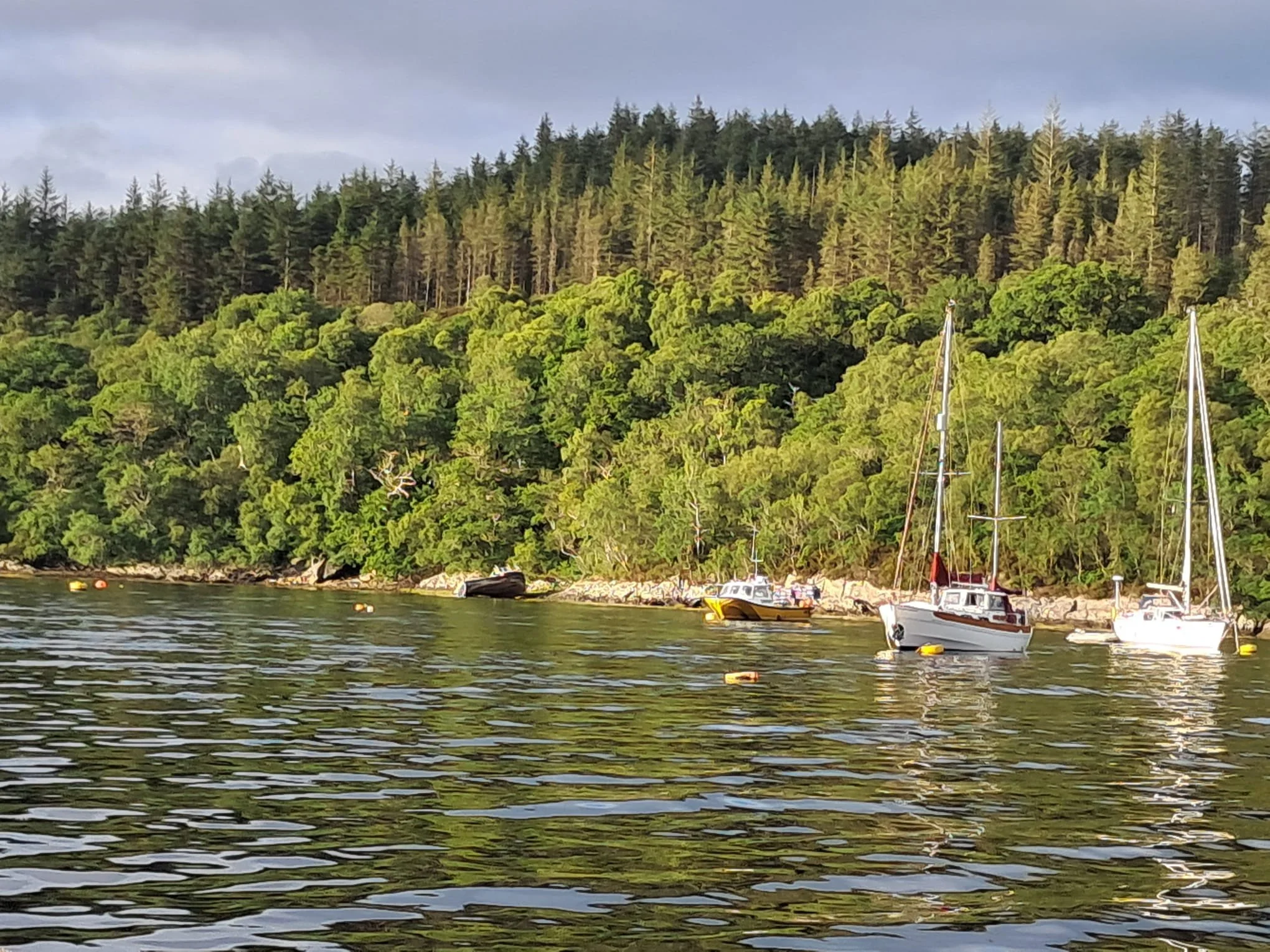 Three boats anchored in a calm body of water with a lush green hillside in the background.