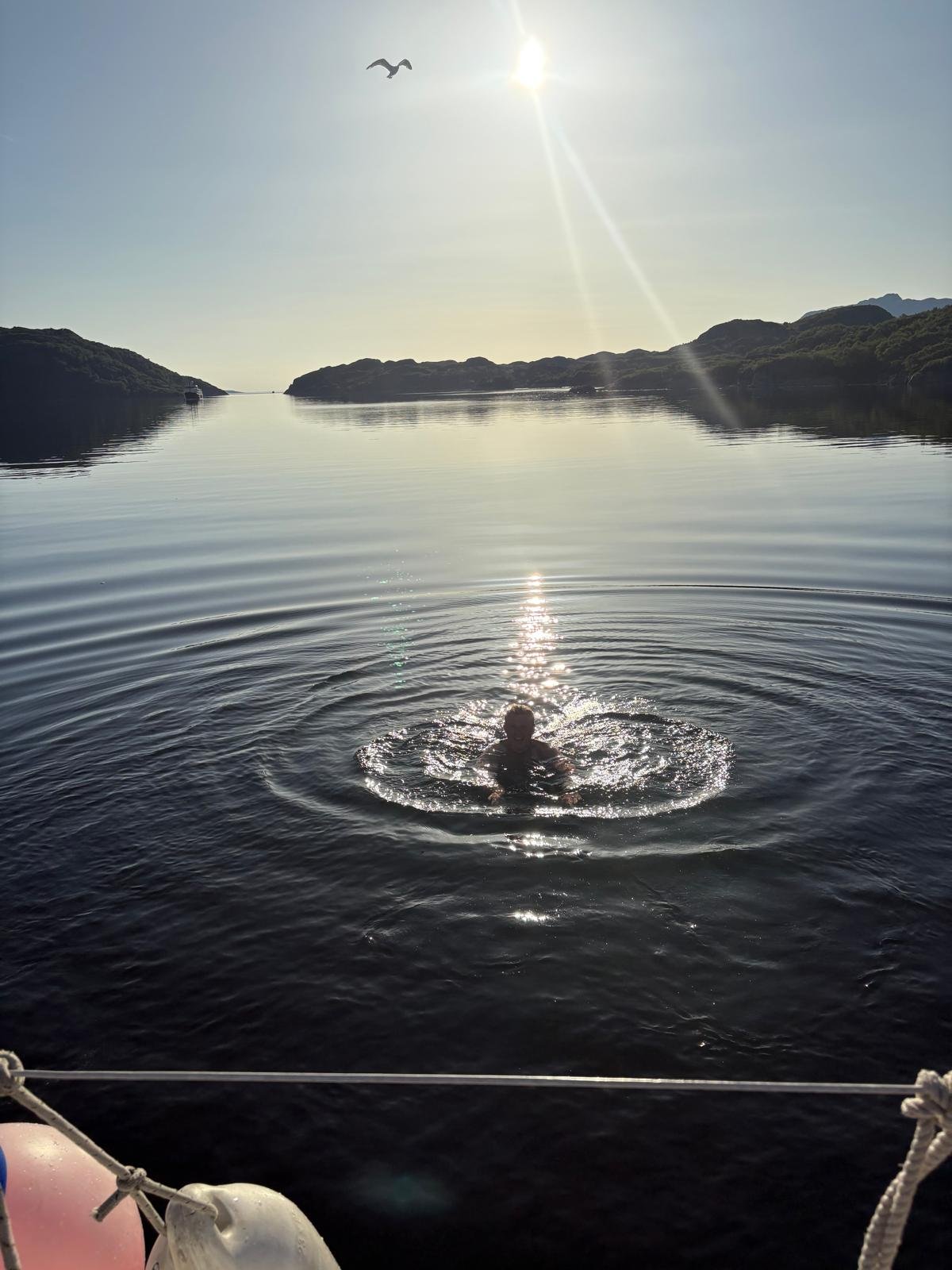 A person swimming in a calm body of water with the sun shining overhead, hills and mountains in the distance, and a bird flying in the clear sky.