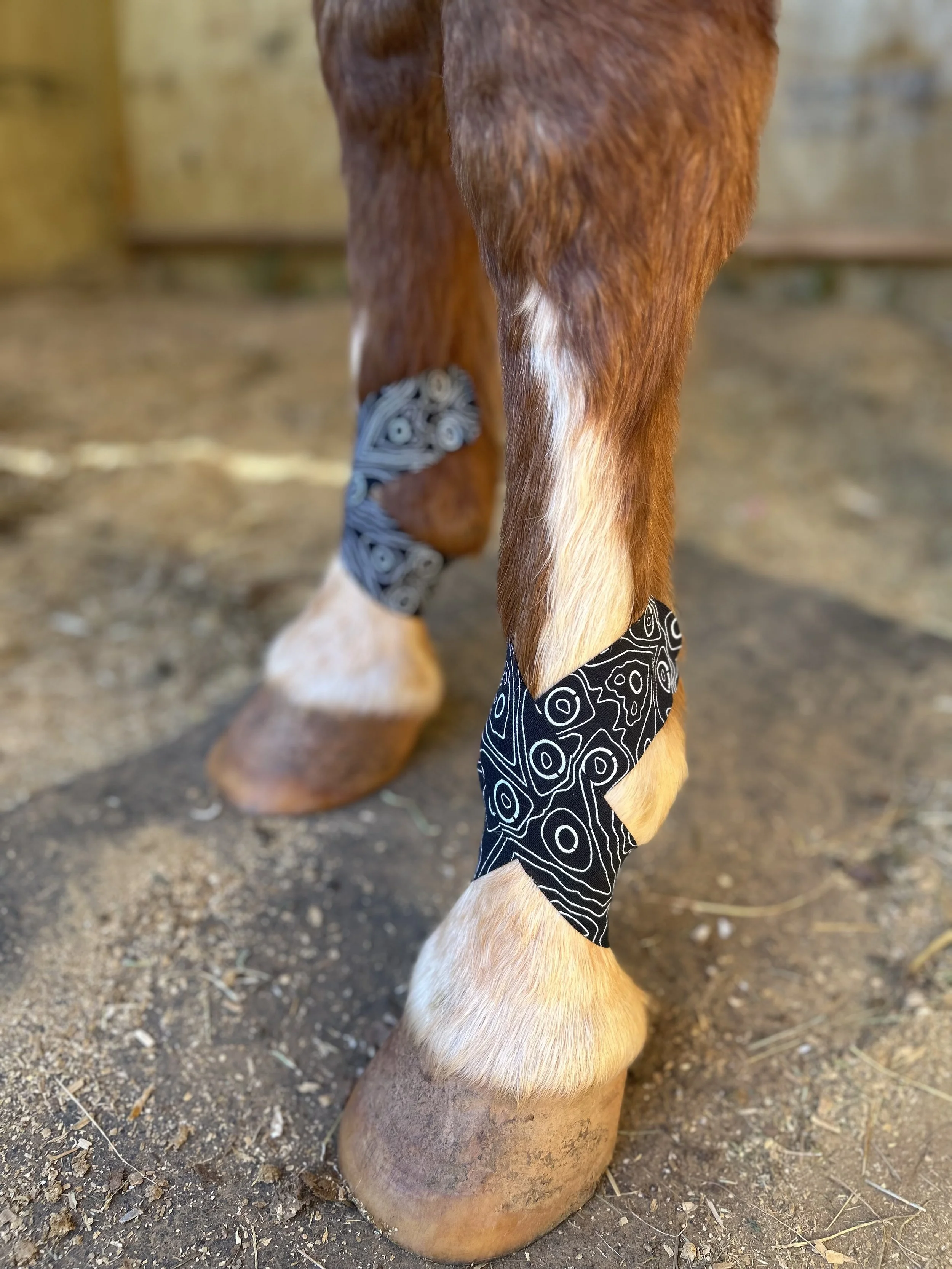 Close-up of a horse's leg with a black and white patterned bandage around the fetlock joint.