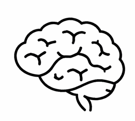 Line drawing of a human brain. neurofeedback services