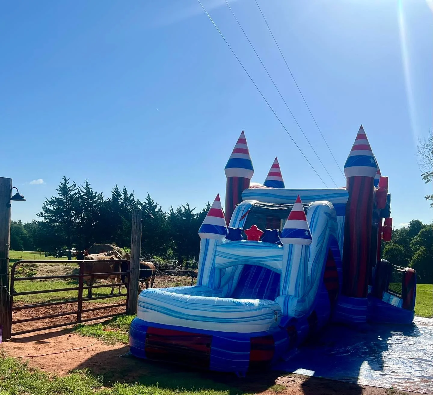 🐄🚜 Farm life is the fun life.

This photo pretty much sums up why we do what we do.

Some of our favorite setups happen far beyond the city limits &mdash; down gravel roads, through farm gates, and out where the cows are just as curious as the kids