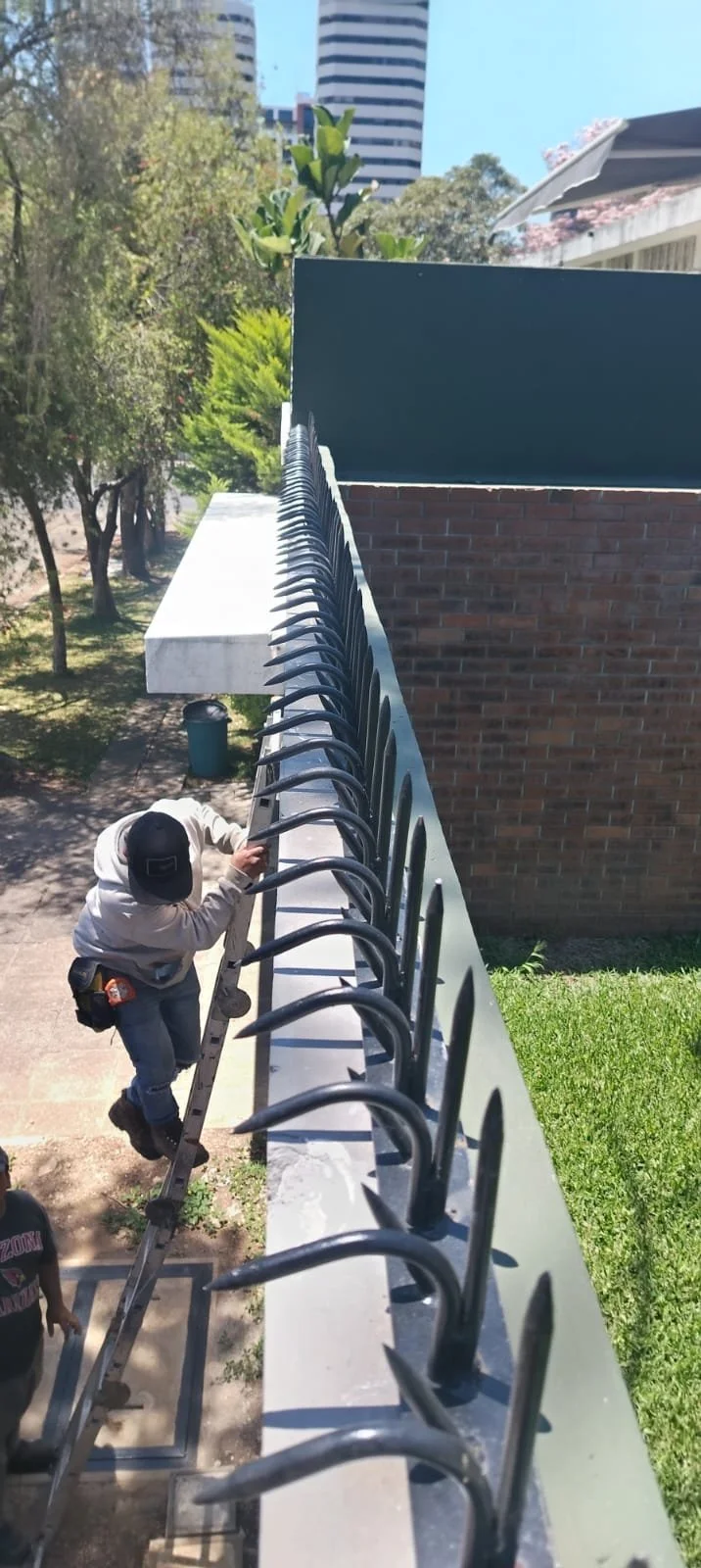 WhatsApp Image 2026-04-13 at 9.49.01 PM.jpeg