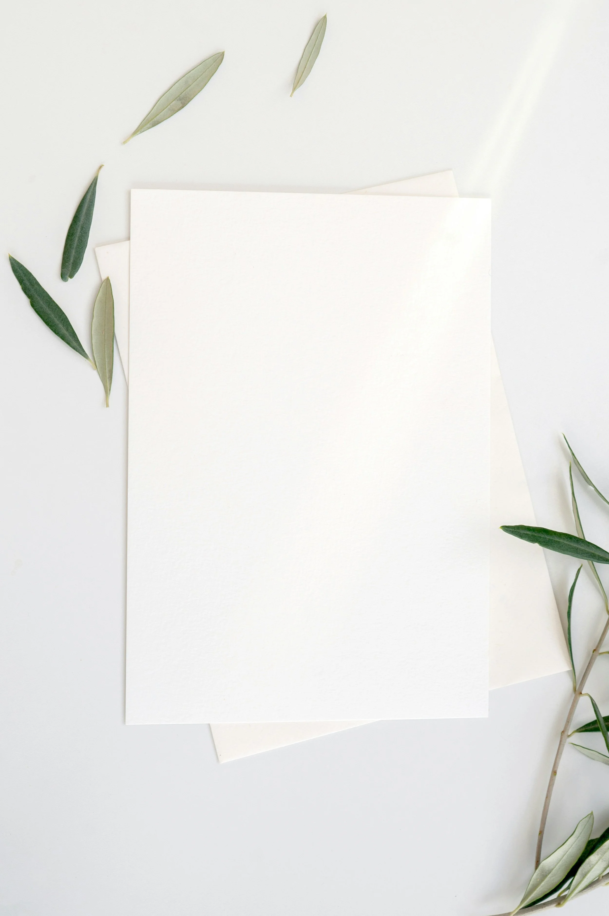 Letterhead / Stationery