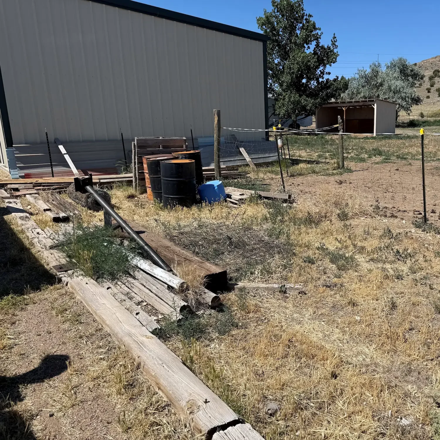 Chino Valley Property Cleanup Before