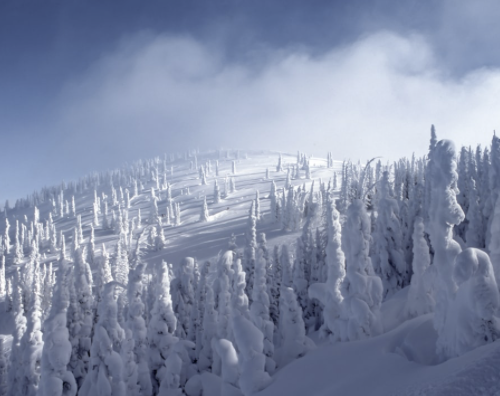 Screenshot 2026-02-25 at 9.32.46 AM.png