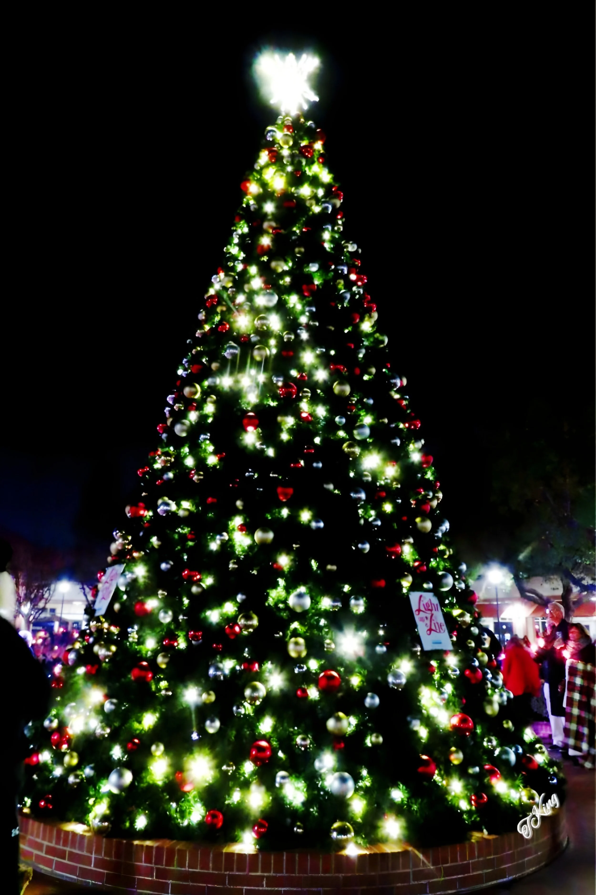 Light Up A Life 12/2/025