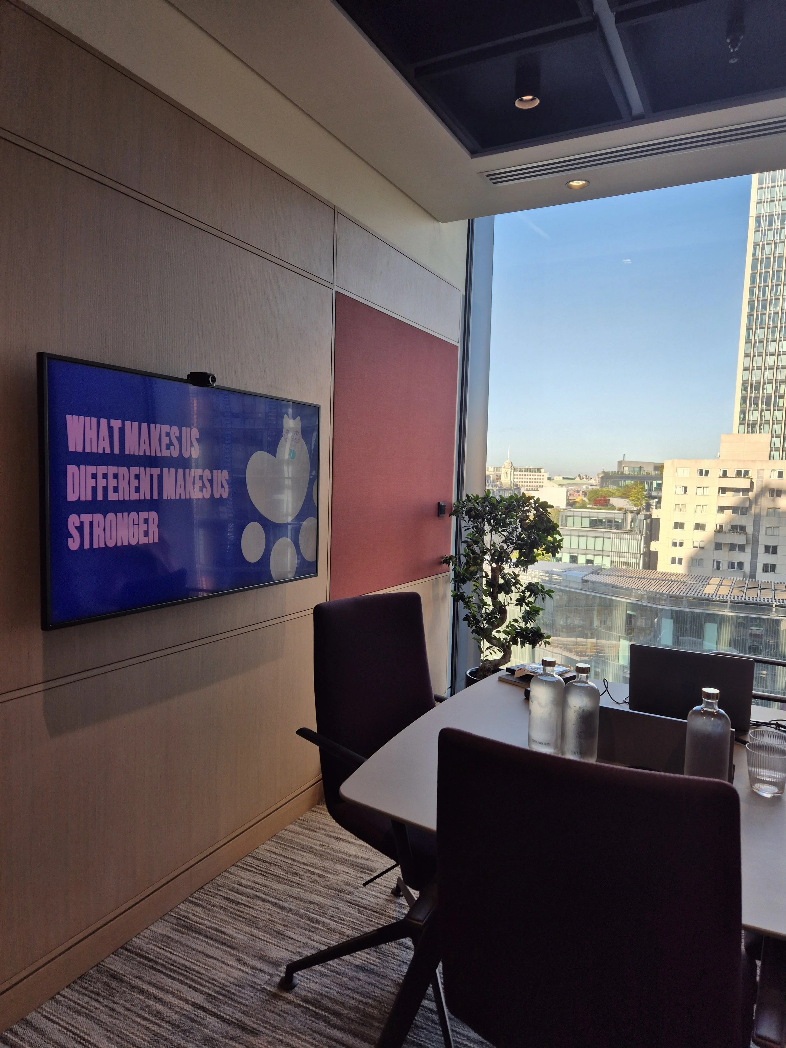 Office conference room with a table, chairs, a large window showing city buildings, a potted plant, and a flat-screen TV displaying a Wise Cat message.