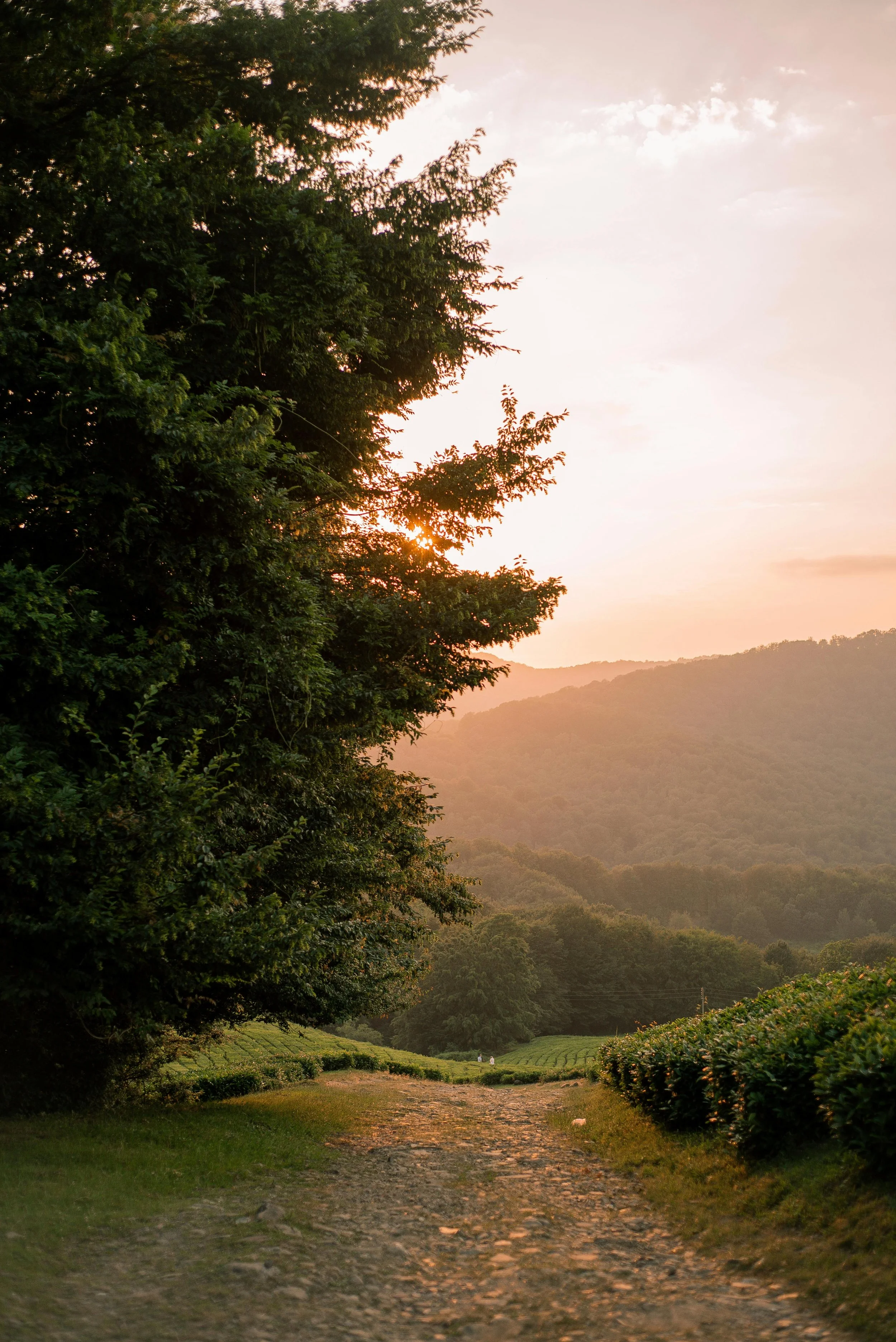 Camille : "Marlène est une personne remarquable, compétente et profondément humaine. Son accompagnement apporte une clarté rare : avec elle, tout devient une évidence. Elle sait mettre en lumière des chemins, qu’ils soient déjà présents ou encore ins