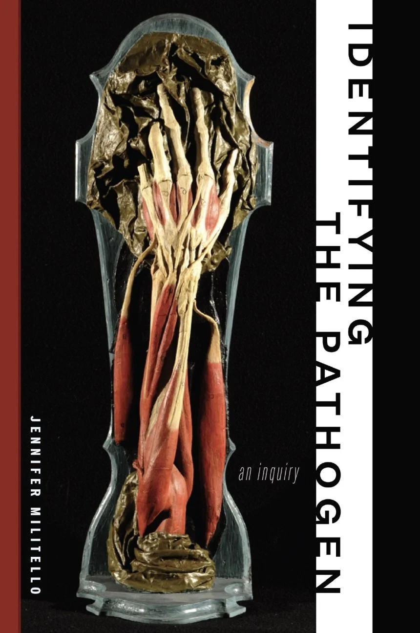 identifying the pathogen.jpg