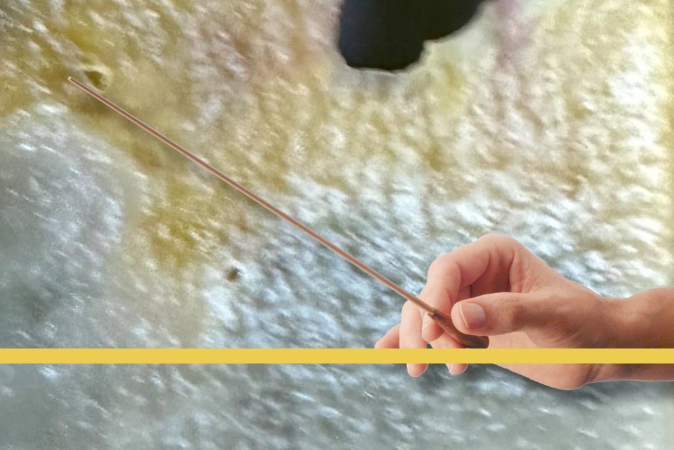 Stars von Morgen mit Brandenburger Symphoniker