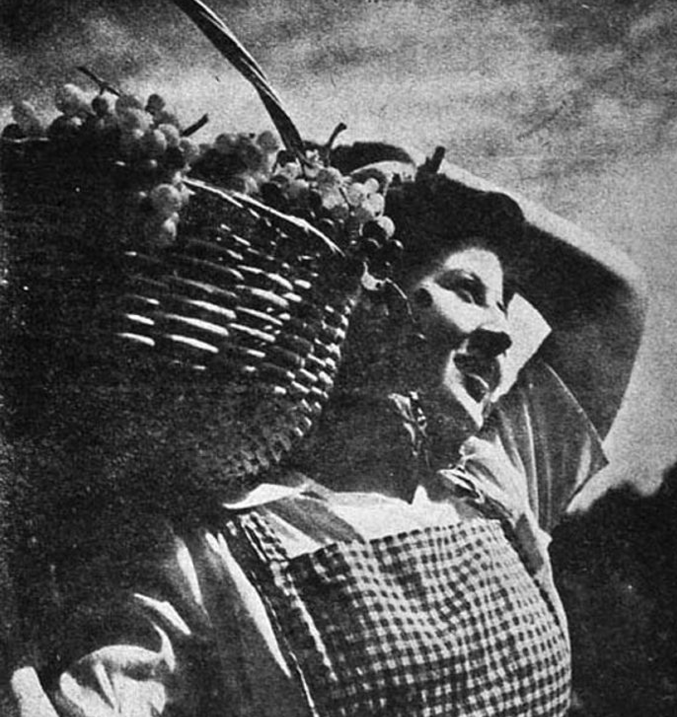 Cosecha de uva, Chile, 1945. En viaje, Empresa de los Ferrocarriles del Estado. Biblioteca Nacional de Chile.