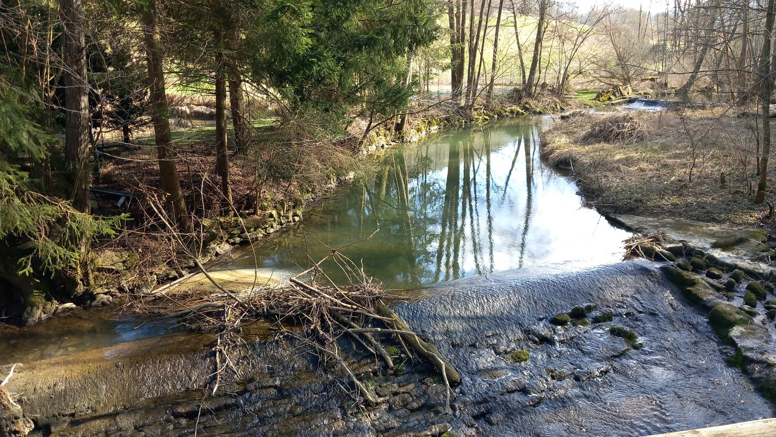 Bierwanderung April 2025 