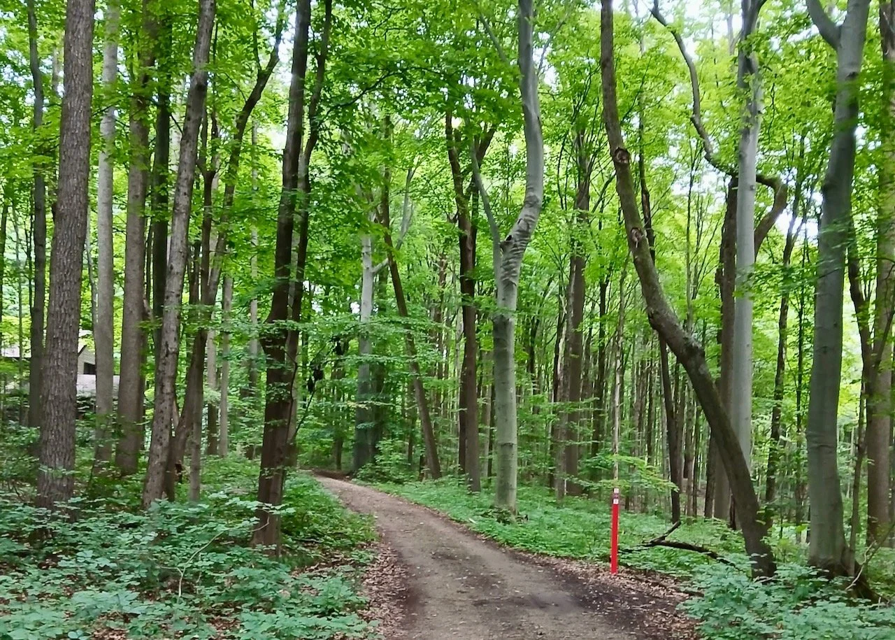 Great Signage, Wide, New Trails, Glacial Memories