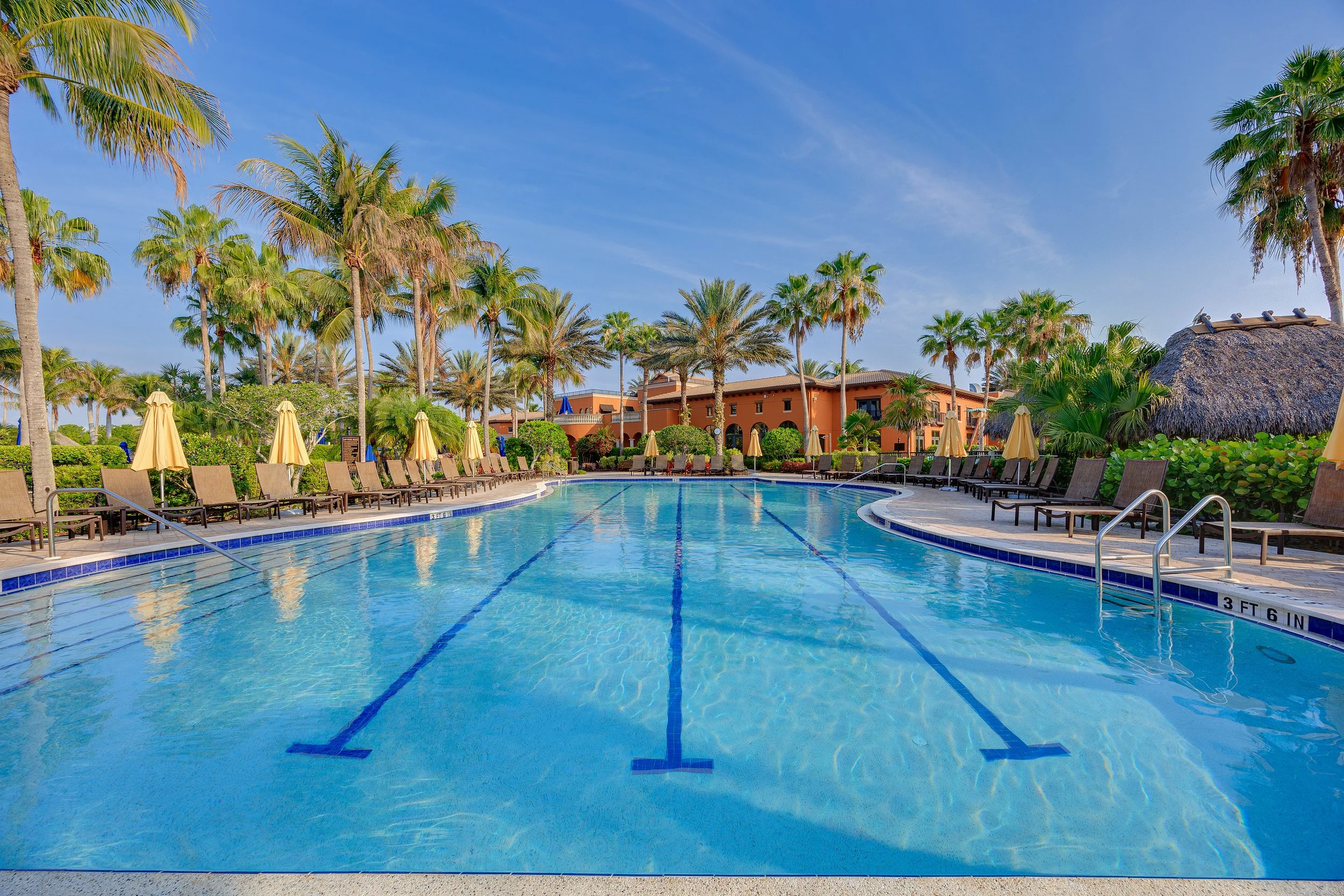 91_Lap_Pool_1_Paseo.jpg