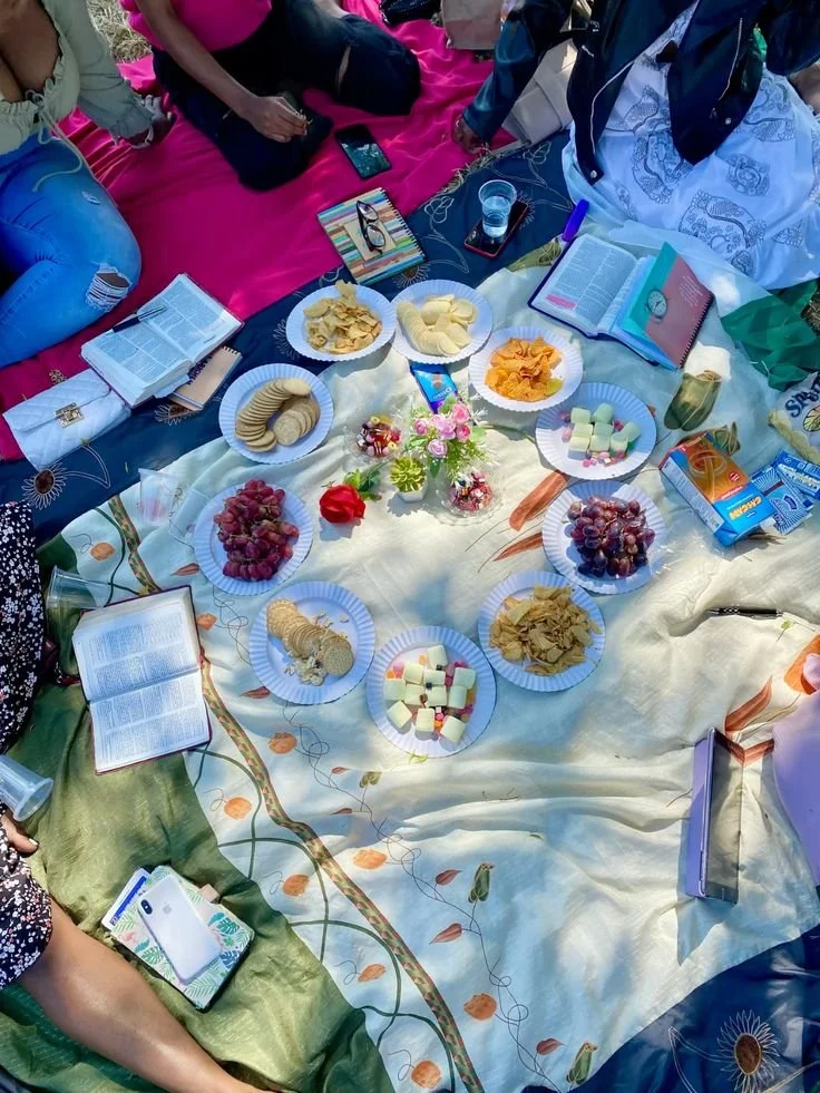 Bible study picnic 🧺 🤍.jfif