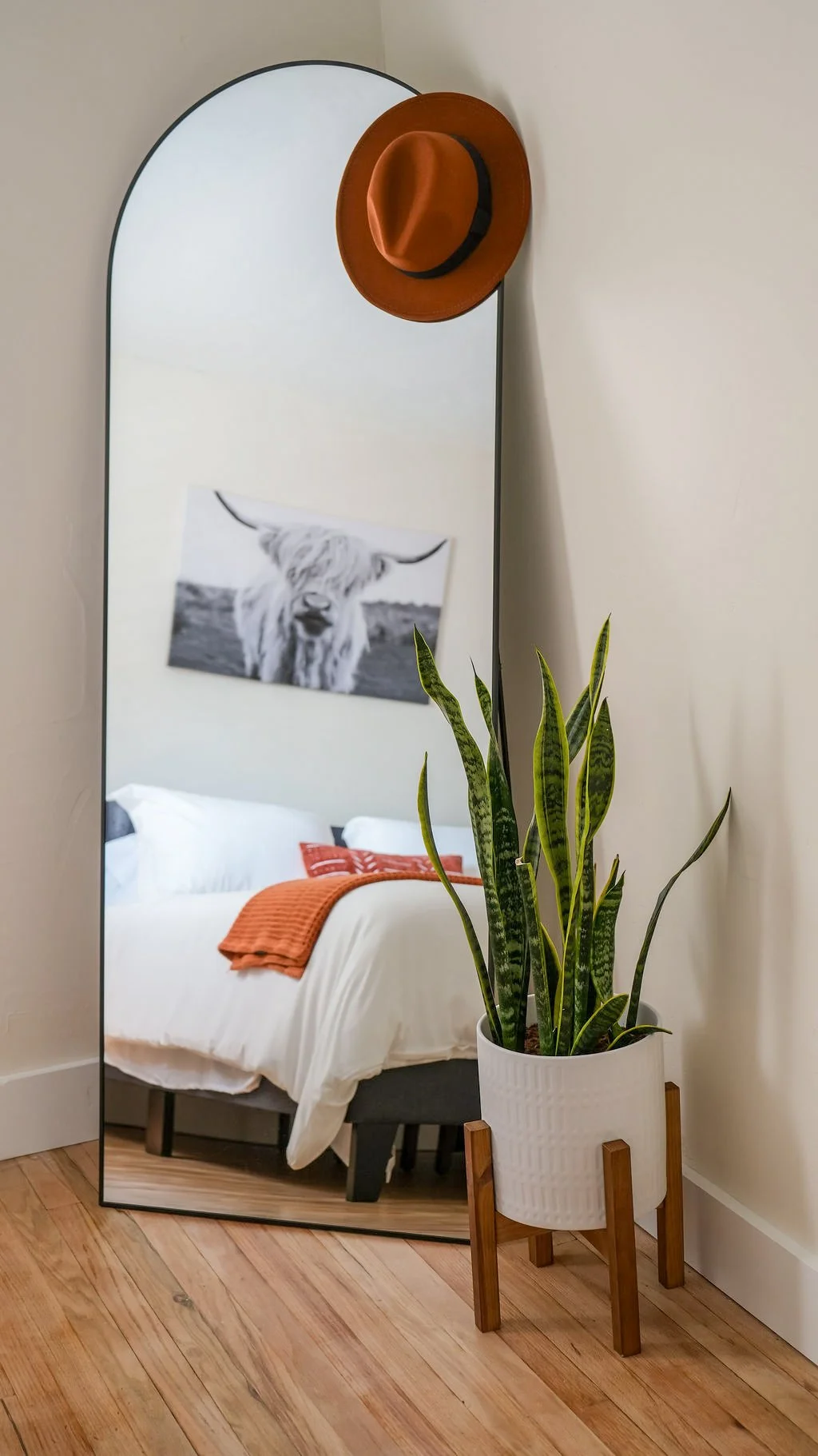A tall mirror leaning against a light-colored wall, with a framed black-and-white photo of a longhorn steer reflected in it. A potted snake plant with long striped green leaves sits in front of the mirror, on a wooden stand. A brown wide-brimmed hat is hanging on the upper part of the mirror, and a bed with white bedding and orange throw pillows is visible in the reflection.