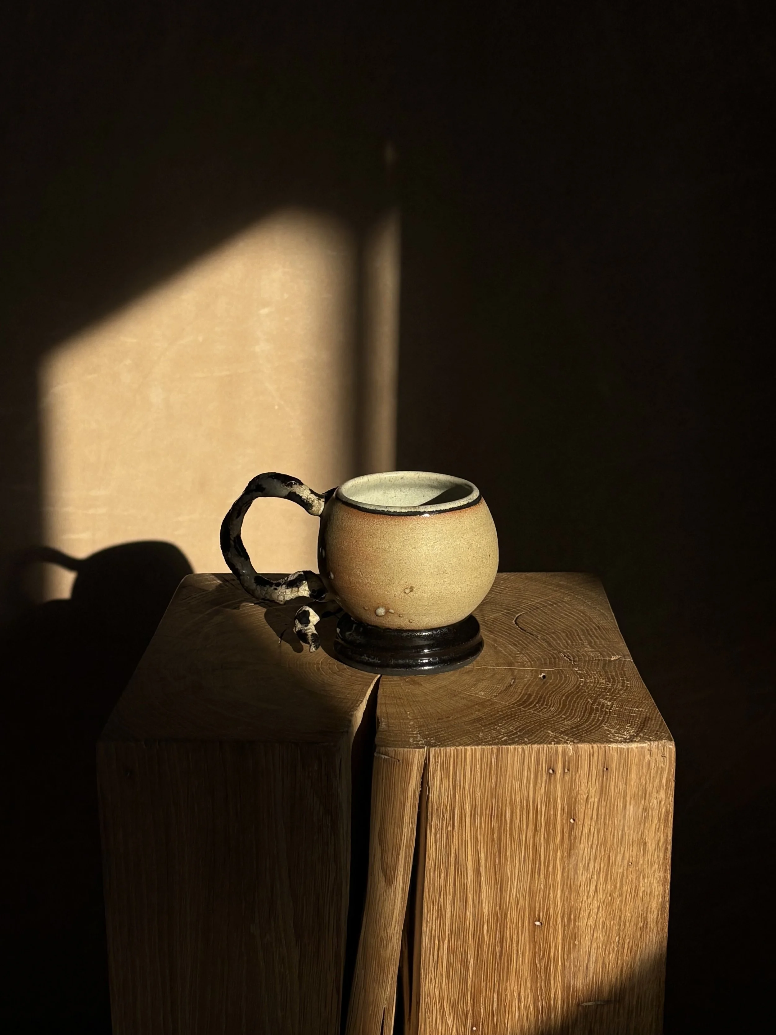IMG_9037.jpeg